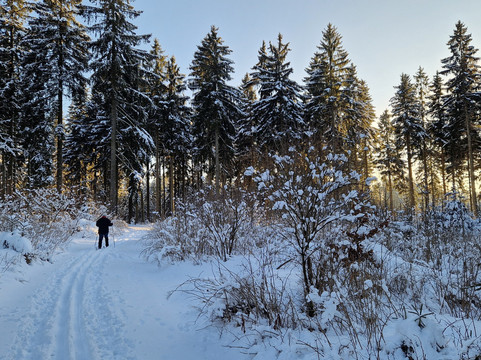 塔布里克伯格酒店主图