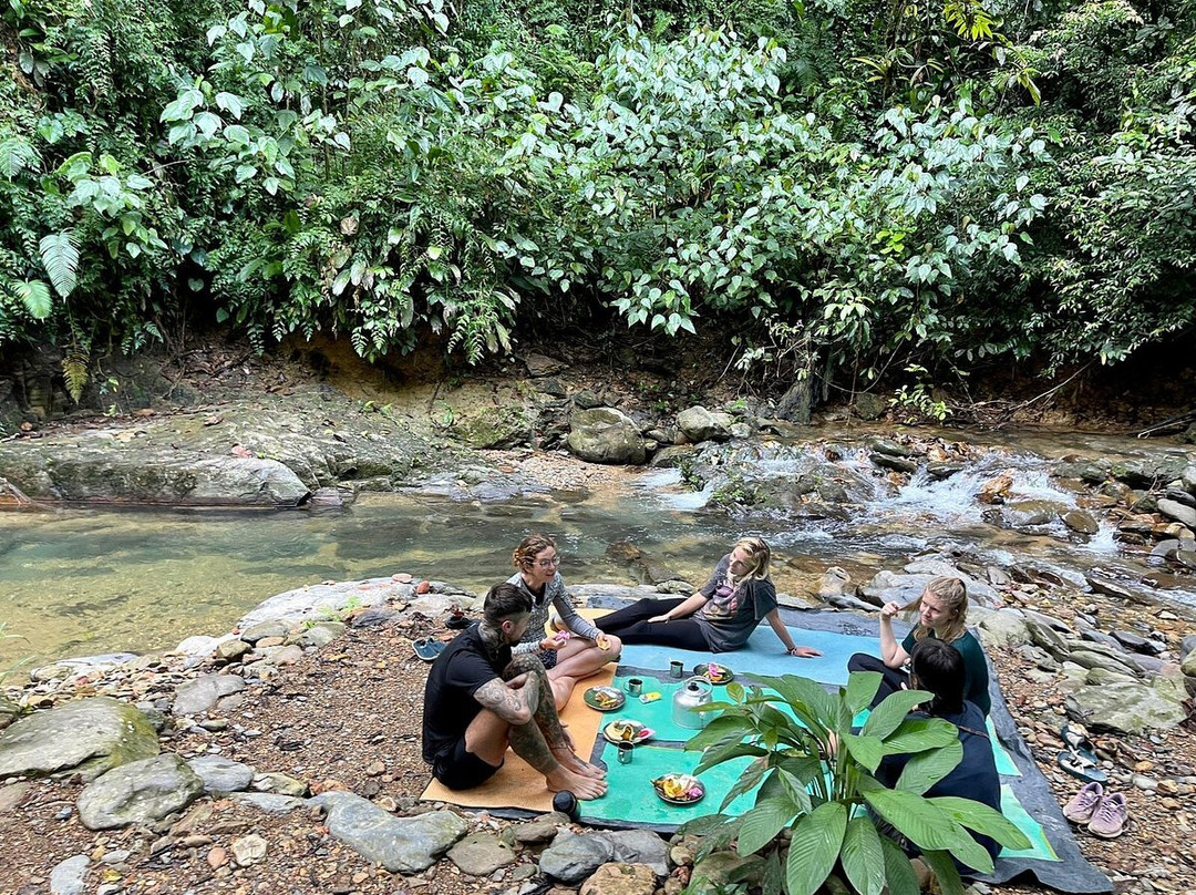 Bukit Lawang Jungle Treks-武吉拉旺必去景点