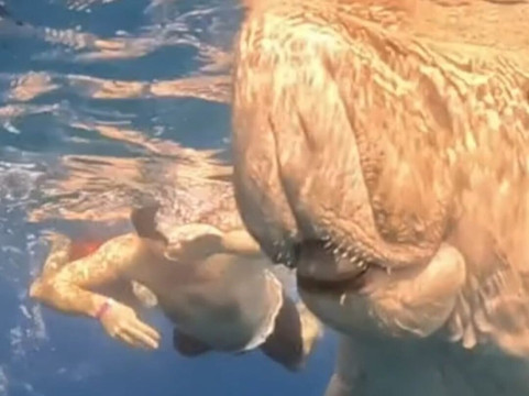 Marsa Alam Tours-赫尔格达必去景点