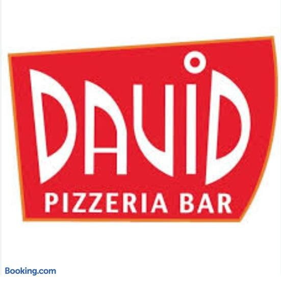 Hotel David