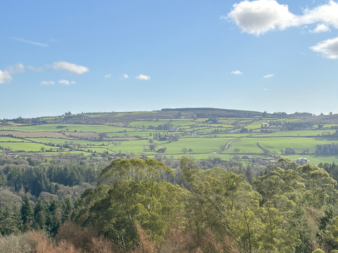 Treetop Walk Avondale-Rathdrum必去景点