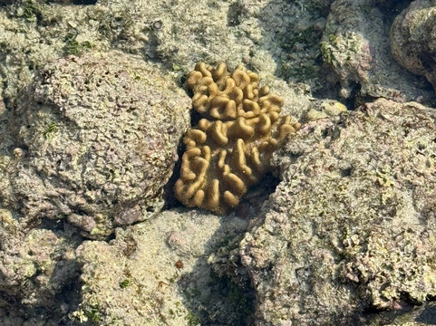 NomadicTribes | Andaman-Swaraj Dweep必去景点