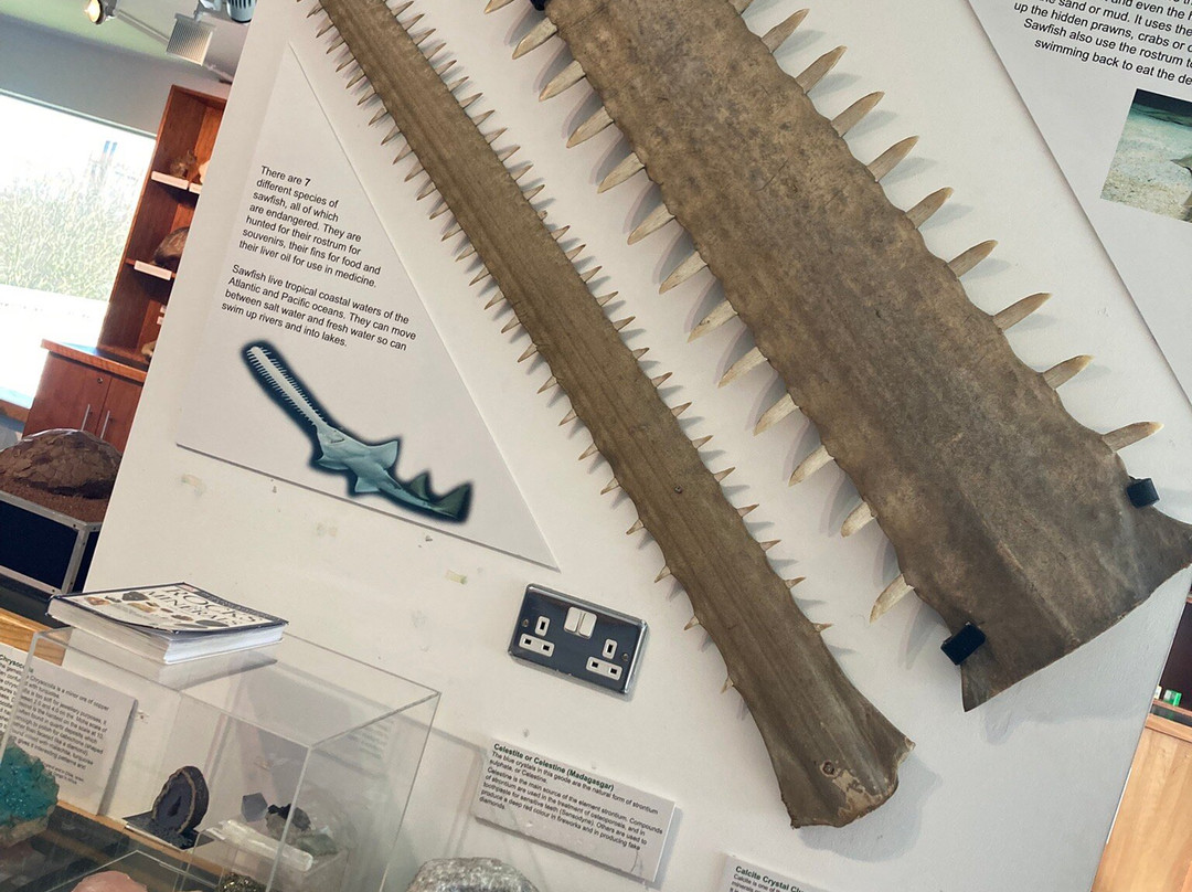 阿尔斯特博物馆-贝尔法斯特必去景点