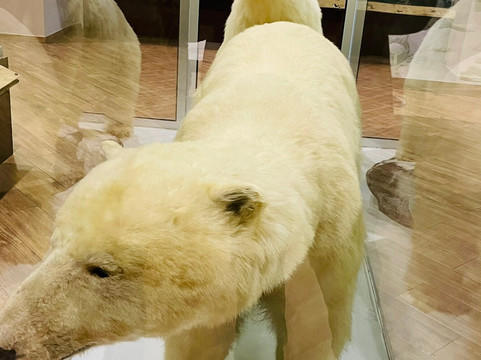 Natural History Museum of Meteora & Mushroom Museum-卡兰巴卡必去景点