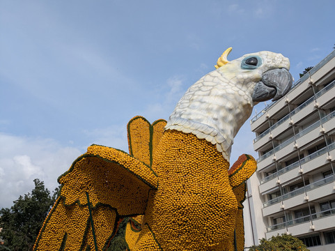 比欧维花园-芒通必去景点