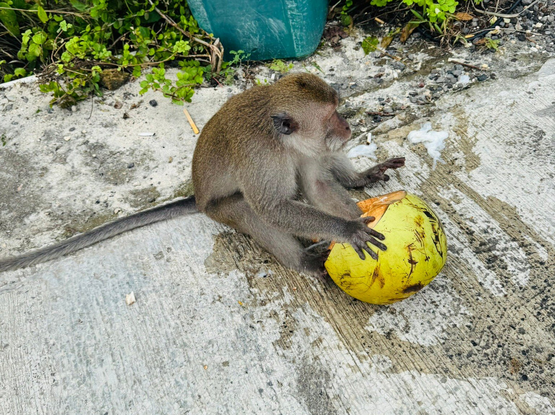 Nusa Penida Travel Escape-珀尼达岛必去景点