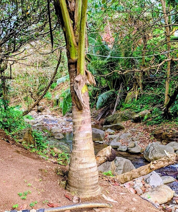 Untouchable Tours-Calibishie必去景点