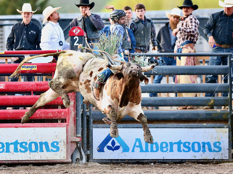 Jackson Hole Rodeo-杰克逊必去景点