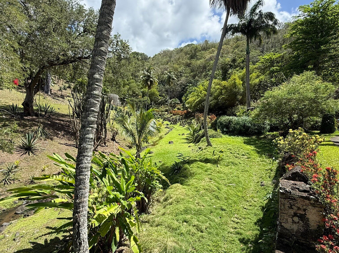 Zoo de Martinique-Le Carbet必去景点