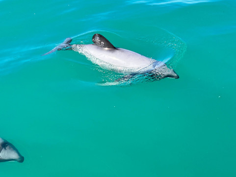 生态海洋水上行-阿卡罗阿必去景点