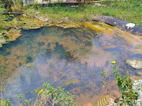 洛斯沃尔卡内斯温泉酒店主图