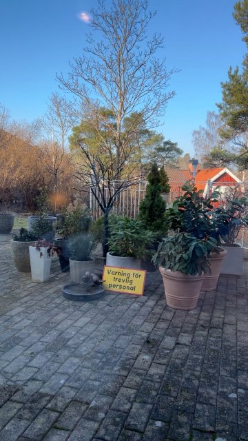 贝斯特韦斯特丹德吕德酒店-官方