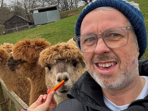 Alpaca Alpaca At Leven Valley-Yarm必去景点