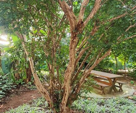 帕萨勒杜酒店主图