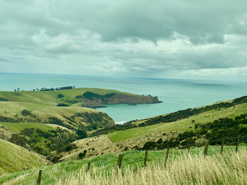 Akaroa's Eastern Bays Scenic Mail Run-阿卡罗阿必去景点