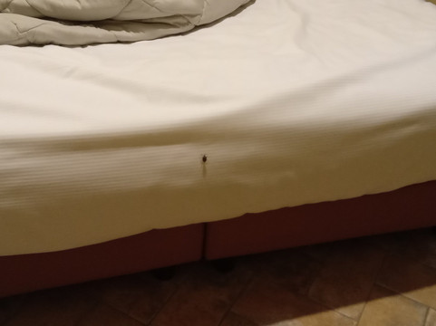 波奇奥勒托度假村及水疗中心主图