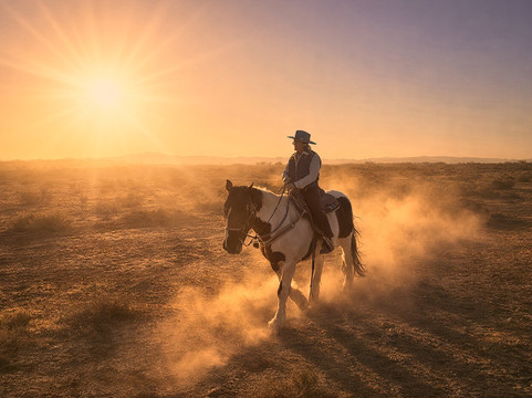 KOLI Equestrian Center-钱德勒必去景点