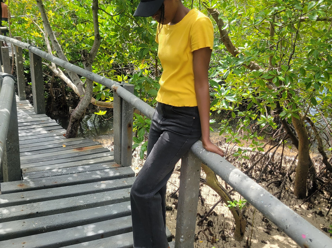 Gazi Mangrove Boardwalk-乌库达必去景点