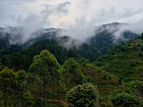 Nkuringo Safaris-布恩迪难以穿越的国家公园必去景点