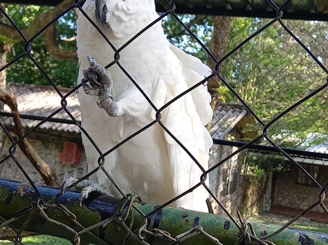 El Nispero Zoo and Botanical Garden-安东谷必去景点