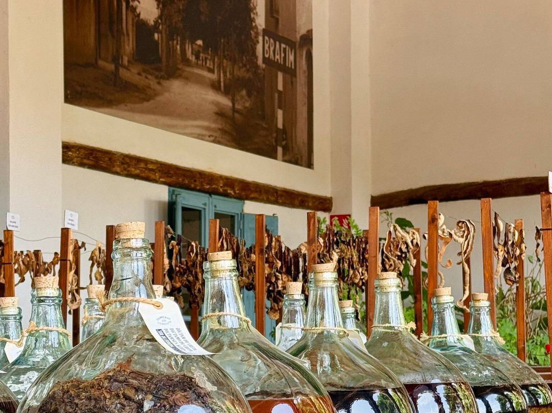 Casa Vermouth Padró-Brafim必去景点