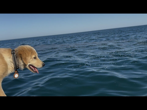 Cape Coast Expeditions-Yzerfontein必去景点