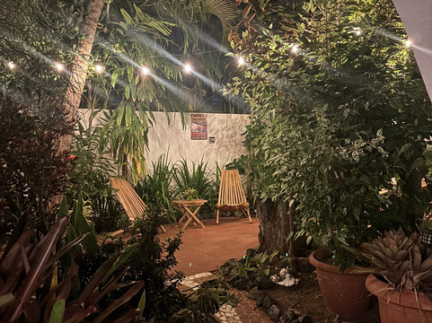 椰子棕榈树旅馆主图