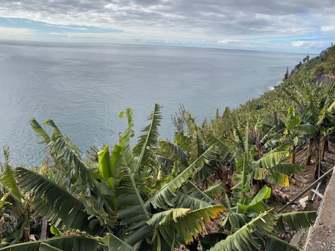 Cascata dos Anjos-Ponta Do Sol必去景点