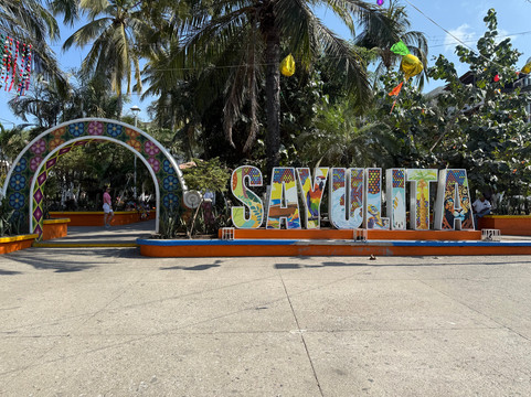 Vallarta Coconut Transfer-瓦拉塔港必去景点