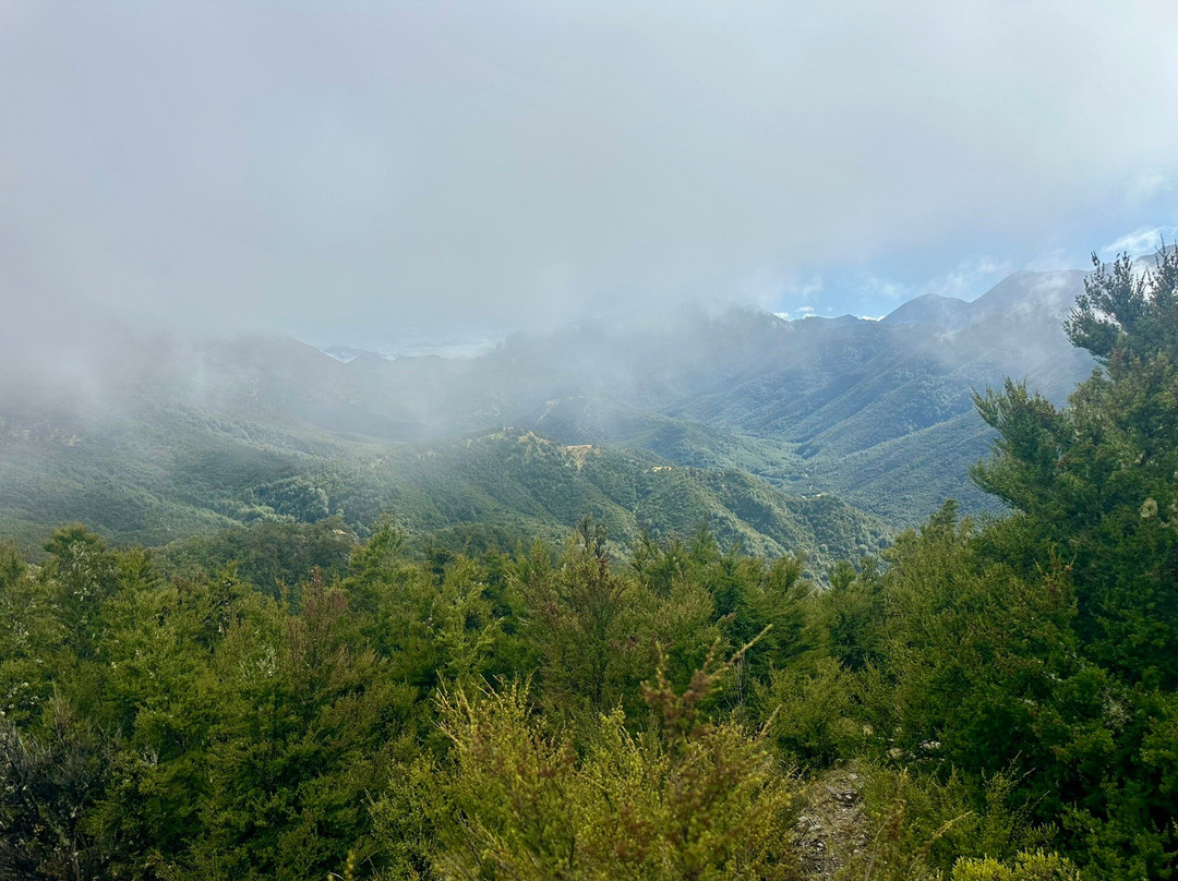 Island Hills Station-Culverden必去景点