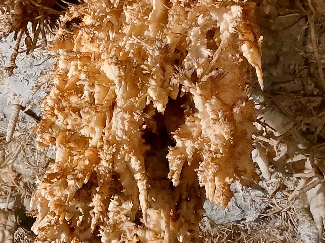 Cueva De Pozalagua-Valle de Carranza必去景点