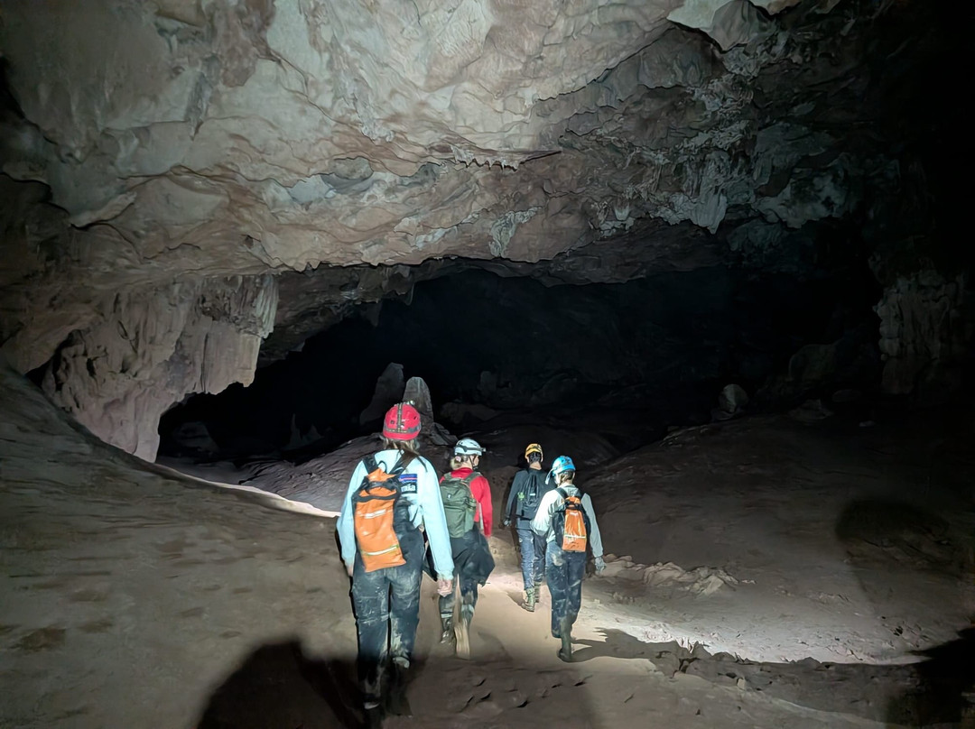 Jungle Boss Tours-峰牙－己榜国家公园必去景点