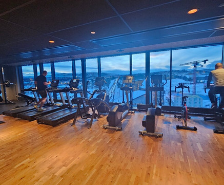 斯堪的纳基鲁纳主图