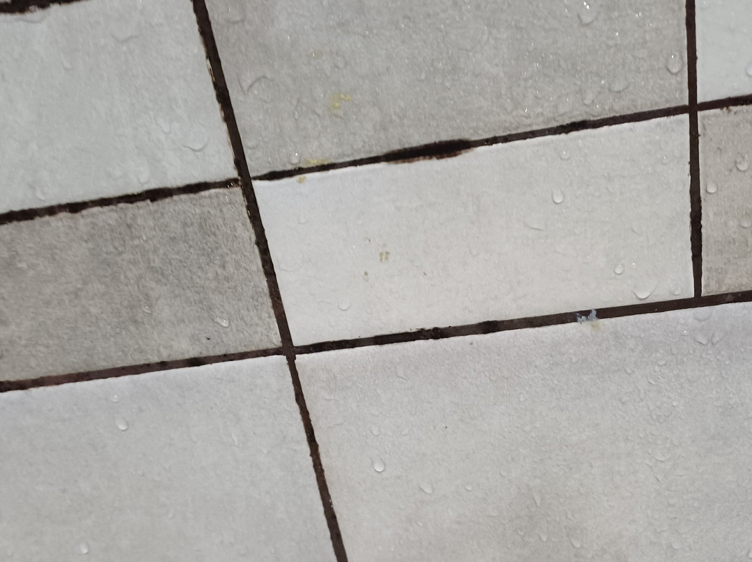 Praça do Bocage-Setubal必去景点