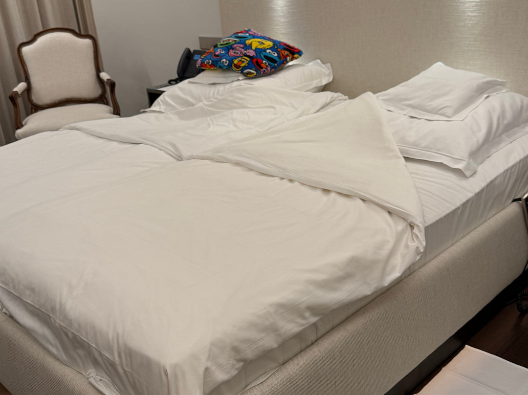 海德堡欧式宫廷酒店主图