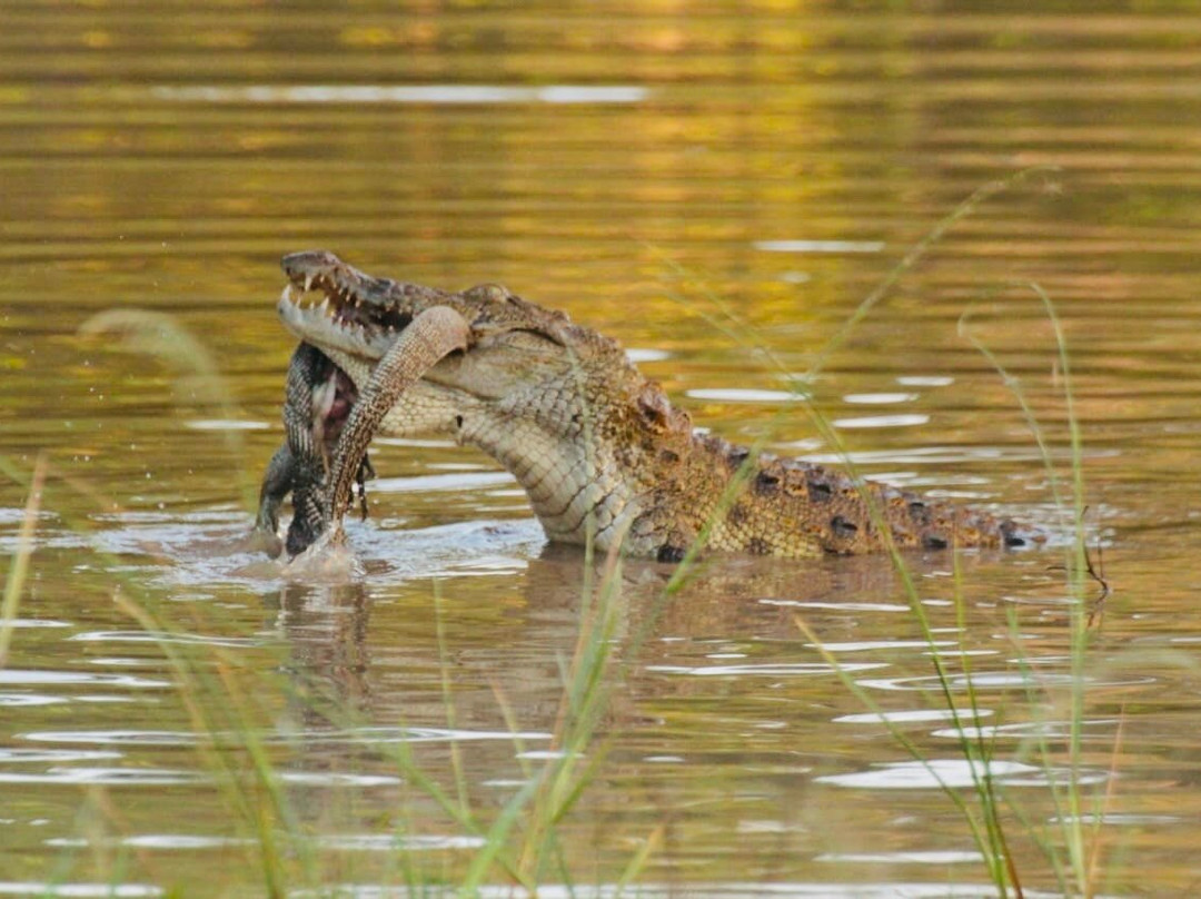 Hirumal Tours-班达拉维拉必去景点