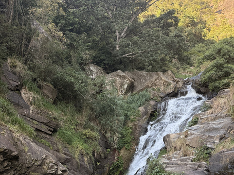 Nature Paradise Travels-科伦坡必去景点