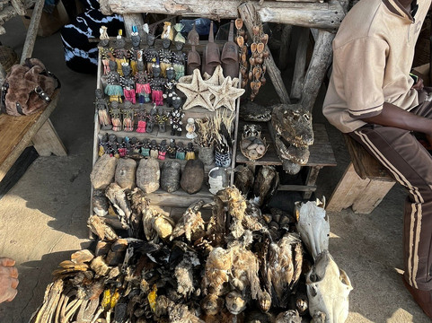 Akodessewa Fetish Market-洛美必去景点