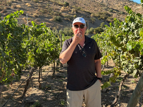 Besoain Wines-Pirque必去景点