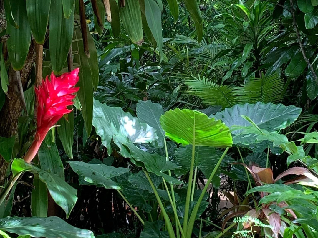 Sigatoka Spa-辛加东卡必去景点