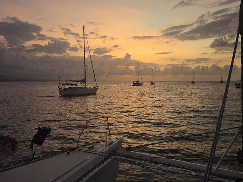 Flying Ginny Catamaran Charter-埃尔波韦尼尔必去景点