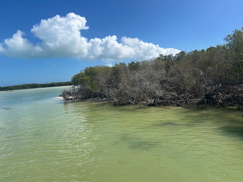 Yalahau Lagoon-Holbox Island必去景点