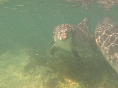 Baird Bay Experience-Bairds Bay必去景点