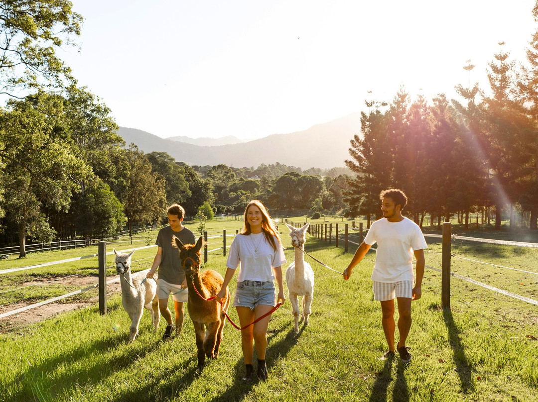 Trevena Glen Farm-Mount Samson必去景点