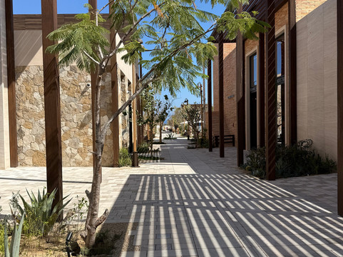 Ánima Village-卡波圣卢卡斯必去景点