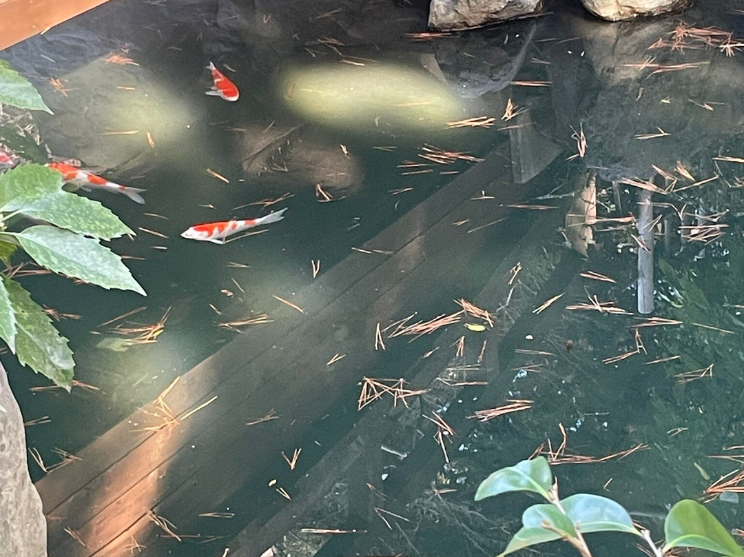 东京都庭园美术馆-Shirokanedai必去景点