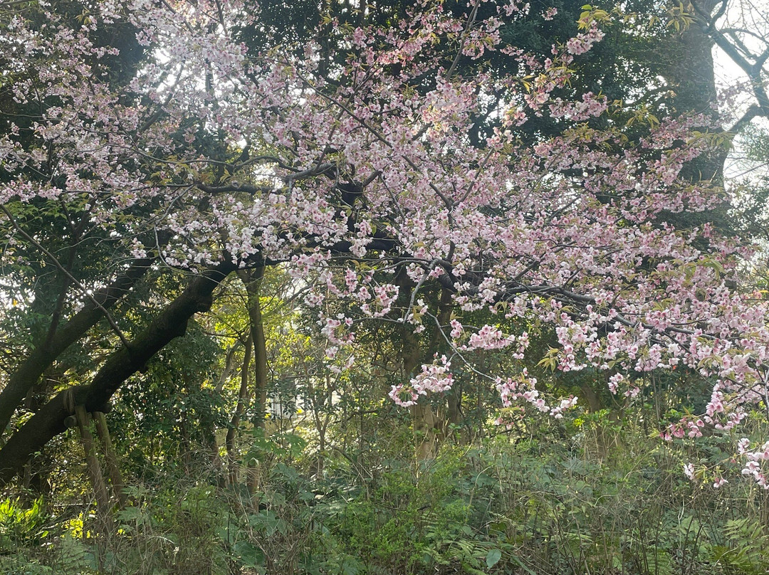 东京都庭园美术馆-Shirokanedai必去景点
