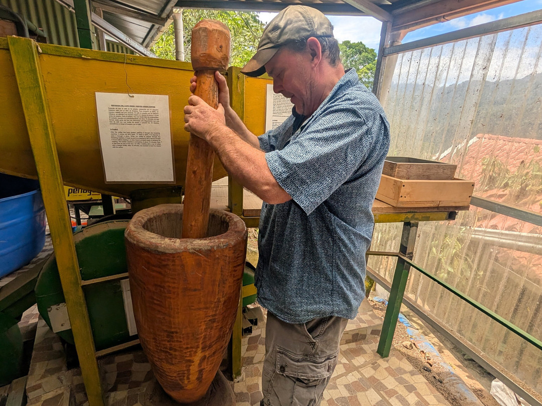 Café Artesanal Los Sauces-奥罗西必去景点