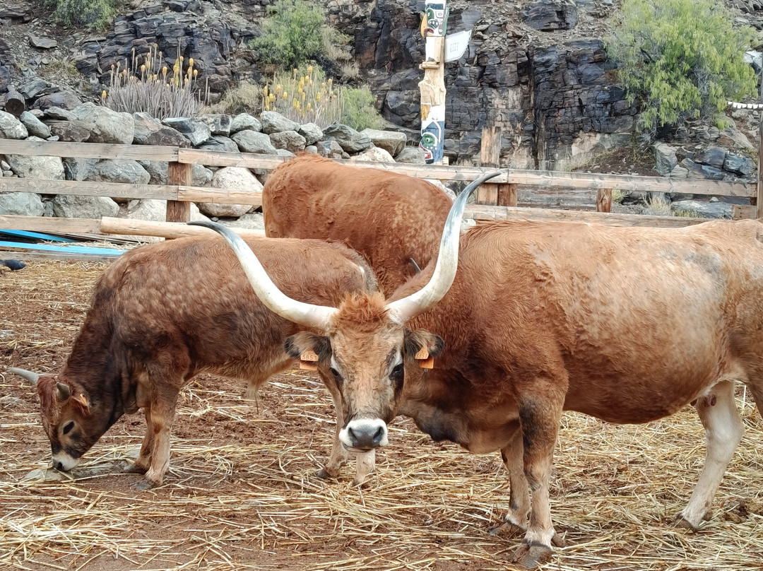 苏城-San Bartolome de Tirajana必去景点