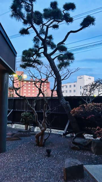 汤之川温泉笑函馆屋旅馆-官方